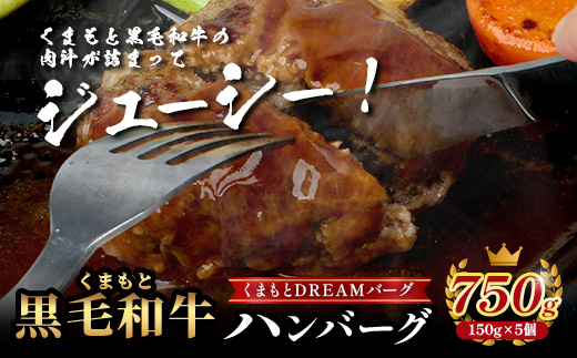 【年内お届け】くまもと黒毛和牛 《 DREAMバーグ 150g×5パック 計750g 》 ※12月18日～28日発送※ 牛肉 100％ 国産 ハンバーグ 熊本 ブランド牛 黒毛 和牛 上質 はんばーぐ 惣菜 熊本県 年内発送 年内配送 クリスマス