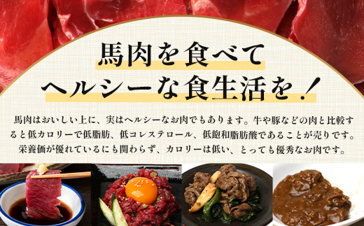 【 定期便 3回 】 熊本県 馬スジ 1kg（ 500g×2 ） × 3回 【 合計 3kg 】 【 馬肉 すじ肉 大容量 本場 熊本県 馬 赤身 煮込み カレー シチュー 冷凍 真空 熊本 肥育 ヘルシー 赤身 肉 高栄養 肉 】 041-0158