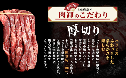 【 厚切り 】牛 ハラミステーキ【1㎏】500ｇ×2 焼肉 ハラミ 焼き肉 はらみ 塩味 牛肉 肉 冷凍 小分け パック キャンプ バーベキュー 067-0671