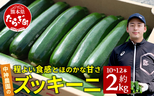 【11月上旬～5月下旬発送】中神農園の ズッキーニ 約2kg (10〜12本) 《先行予約》 野菜 やさい 煮る 炒める 生食 ミネラル ビタミンC ずっきーに 新鮮 甘み 酸味 用途多様 国産 九州 熊本県 多良木町 送料無料 071-0506