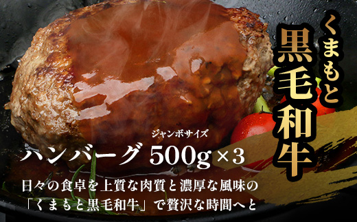 《R7.5〜9月発送 限定 増量 》くまもと 黒毛和牛 DREAMジャンボバーグ 500g×3個 + DREAMバーグ 150g×2個 【合計 1.8kg】 113-0535