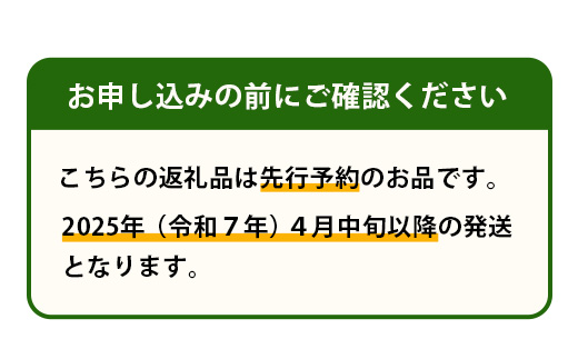 【2025年4月中旬発送開始】熊本県産 アンデスメロン 5玉 約5kg 【 アンデス メロン フルーツ 果物 くだもの 熊本県 多良木町 】 083-0696