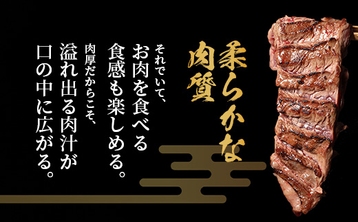 【 年内お届け 】【 厚切り 】牛 ハラミステーキ 年内発送【1㎏】500ｇ×2 【2024年12月18日～28日発送】焼肉 ハラミ 焼き肉 はらみ 塩味 牛肉 肉 冷凍 小分け パック キャンプ バーベキュー 年内配送 年内発送 067-0671-R612