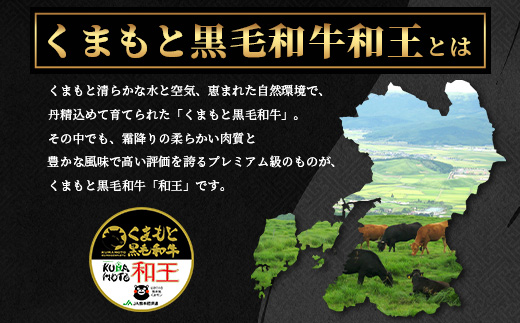 【年内お届け】【極和王】 くまもと黒毛和牛 和王 サーロインステーキ 330g×2 計660g ※12月18日～28日発送※《 ブランド牛 最高級グレード 極み 上質 旨味 サーロイン ステーキ 冷凍 熊本県 》113-0601