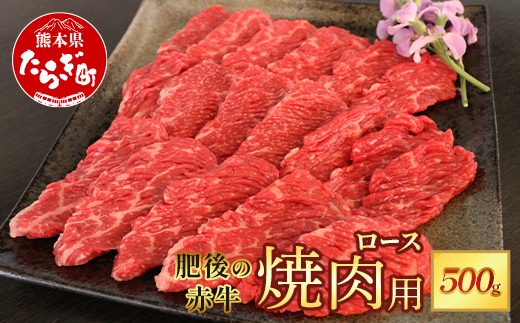 熊本県  肥後 の 赤牛 ロース 焼肉用 500g 【 やわらかい ロース 牛肉 肉 冷凍 多良木町 肥後 特産 肉 焼き肉 やきにく 和牛 赤身 スライス 】  030-0709