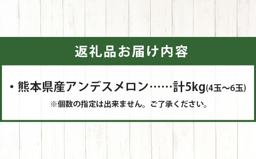 【2026年4月下旬～発送分】先行予約 アンデスメロン 4玉〜6玉（1箱5kg）熊本県 多良木町産 果物 フルーツ メロン 先行予約 5kg 青肉 期間限定 数量限定 012-0556
