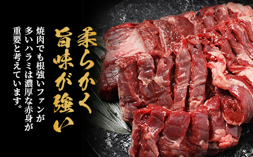 【 厚切り 】牛 ハラミステーキ【1㎏】500ｇ×2 焼肉 ハラミ 焼き肉 はらみ 塩味 牛肉 肉 冷凍 小分け パック キャンプ バーベキュー 067-0671