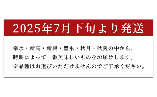 先行予約【2025年5月下旬〜発送分】 熊本県産 梨 約3kg  幸水 新高 新興 豊水 秋月 秋麗 果物 熊本県産 フルーツ 甘い ジューシー 070-0593