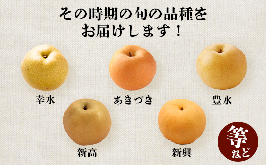 先行予約【2026年7月下旬〜発送分】東光寺 梨 2.5kg (5〜7玉) 1箱 完熟 梨 なし フルーツ 果物 夏 旬 幸水 豊水 秋月 新高 新興 シャリシャリ 025-0573