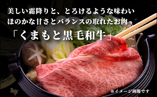 《R7.5・6・7月発送 限定 増量 》 くまもと黒毛和牛 切り落とし 1kg + DREAMバーグ 150g×3個 【合計1450g】 切り落とし 1キロ + 牛肉 100％ 国産 生 ハンバーグ ブランド牛 上質 和牛 霜降り お得 限定品 惣菜 冷凍 熊本県 113-0530