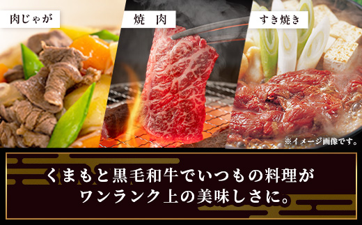 年内お届け【訳あり】くまもと黒毛和牛 の 端っこ (不揃い) 切り落とし 切れ端 500g ※12月18日～28日発送※ 本場 熊本県 ブランド 牛 黒毛 和牛 上質 国産 牛肉 熊本県