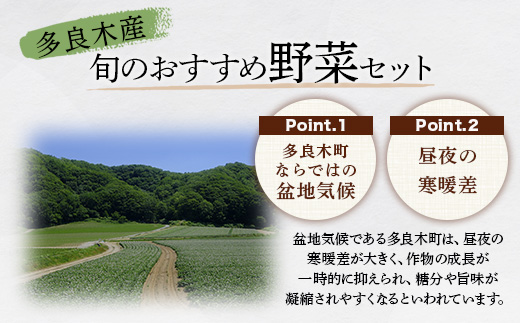 【定期便 12回】野菜ソムリエ 監修【 野菜で野菜を食べる 】旬の おすすめ 野菜＆ドレッシング 定期便 (1〜2名様向け) 野菜 獲れたて 直送 旬 新鮮 セット 詰め合わせ 詰合せ 定期便 12カ月 産地 直送 国産 旬 野菜 ひとり暮らし 夫婦 熊本県 多良木町 ドレッシング 024-0808