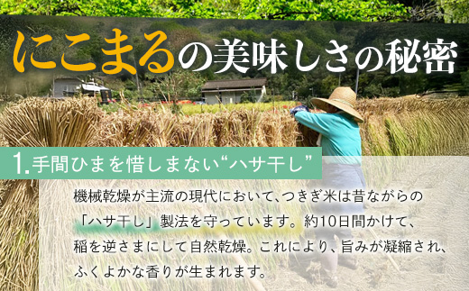 【令和8年産 玄米 】10月上旬～発送 多良木町産 にこまる 「つきぎ米」 玄米 10kg 玄米 ハサ干し米 多良木町 たらぎ 槻木 新米 お米 米 熊本県 10キロ 117-0503