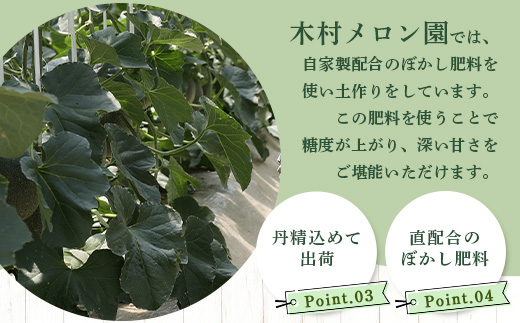 【 2025年4月中旬～発送開始 】 先行予約 グラバーメロン 3玉 【 熊本県 多良木町産 上品な味 高糖度 甘い メロン ぐらばー めろん 熊本メロン 】013-0557