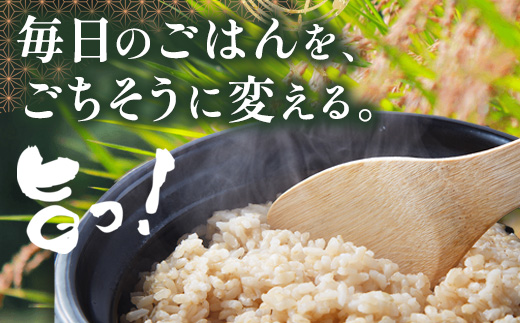 【令和8年産 玄米 】10月上旬～発送 多良木町産 にこまる 「つきぎ米」 玄米 10kg 玄米 ハサ干し米 多良木町 たらぎ 槻木 新米 お米 米 熊本県 10キロ 117-0503