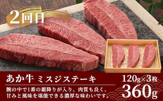 【定期便 6回】あか牛 ステーキ 食べ比べ！ 6回配送 ステーキ 定期便 熊本県産 ≪ サーロイン ミスジ ランプ 三角バラ ヒレ リブ ロース ≫ ステーキ 和牛 あか牛 牛肉 赤身 肉 定期 和牛 国産 ご褒美 定期便 6カ月 046-0676