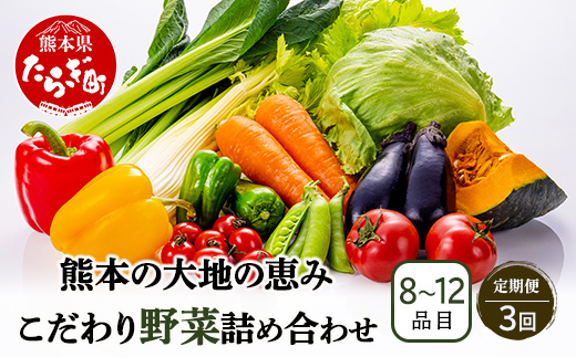 【定期便3回】熊本の大地の恵み 旬の こだわり野菜詰め合わせセット 8〜12品 （3〜4名様向け）3回配送 獲れたて 新鮮 野菜 セット 詰め合わせ 詰合せ 定期便 産地 直送 国産 季節 旬野菜 家族 ファミリー 多良木町 024-0810