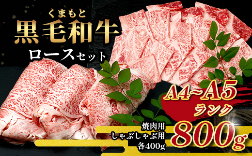 【年内お届け】A4・A5 くまもと黒毛和牛 ロース セット 計 800g ( すき焼き / 焼肉 各400g ) ※12月18日～28日発送※  本場 熊本県 ブランド 牛 黒毛 和牛 厳選 A4 等級以上  年内発送 年内配送 クリスマス