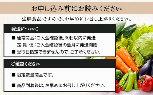 【定期便 3回】野菜ソムリエ 監修【 野菜で野菜を食べる 】旬の おすすめ 野菜＆ドレッシング 定期便 (1〜2名様向け) 野菜 獲れたて 直送 旬 新鮮 セット 詰め合わせ 詰合せ 定期便 産地 直送 国産 旬 野菜 ひとり暮らし 夫婦 熊本県 多良木町 ドレッシング 024-0806