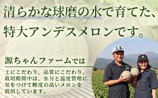 【2025年5月上旬より発送開始】 熊本県産 アンデスメロン 約5kg 4玉 【 メロン 果物 くだもの フルーツ 甘い 】 089-0688