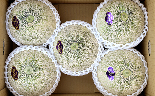 【2026年4月下旬～発送分】先行予約 アンデスメロン 4玉〜6玉（1箱5kg）熊本県 多良木町産 果物 フルーツ メロン 先行予約 5kg 青肉 期間限定 数量限定 012-0556