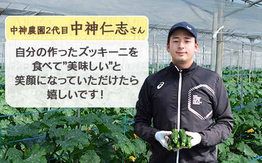 【11月上旬～5月下旬発送】中神農園の ズッキーニ 約2kg (10〜12本) 《先行予約》 野菜 やさい 煮る 炒める 生食 ミネラル ビタミンC ずっきーに 新鮮 甘み 酸味 用途多様 国産 九州 熊本県 多良木町 送料無料 071-0506