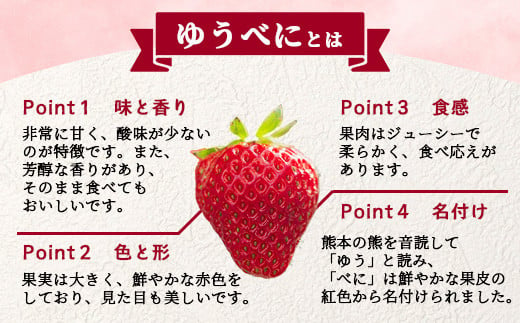 【2025年3月～発送開始】先行予約 熊本県産 いちご ゆうべに 2箱 (250g×8パック) イチゴ 果物 フルーツ 熊本県 多良木町 農園直送 107-0502