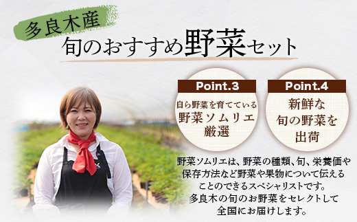 野菜ソムリエ 監修 旬のおすすめ 野菜 セット 4〜6種類 (1〜2名様向け) 野菜 獲れたて 新鮮 直送 旬 熊本県 多良木町 024-0801