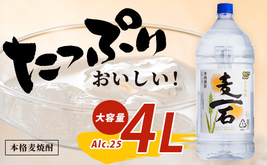 【年内お届け】 球磨焼酎【麦一石】4L エコペット 25度 麦焼酎 蔵元直送 ※12月18日～28日発送※  年内発送 年内配送 クリスマス 040-0586-R612