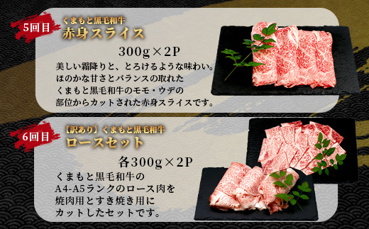 【定期便6回】くまもと黒毛和牛 家族でお楽しみ定期便  《 ロース すき焼き 焼肉 赤身 ハンバーグ10個 》【合計4.1kg】黒毛 和牛 焼き肉 すスキヤキ 焼き肉 上質 ブランド牛 国産 牛肉 冷凍 熊本県