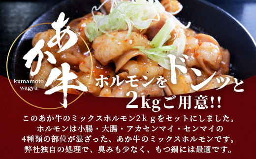 【年内お届け】熊本県産 あか牛 ミックス ホルモン 2kg（500g×4パック）※12月18日～28日発送※  年内発送 年内配送 クリスマス