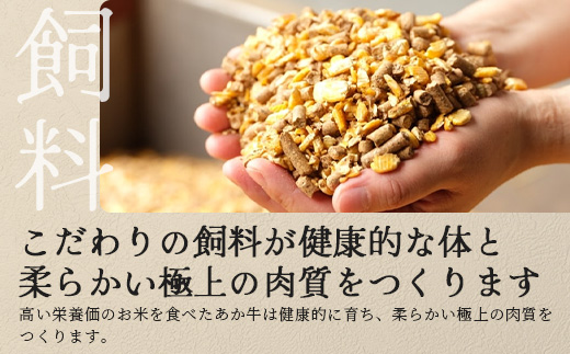 【年内お届け】熊本県産 あか牛 【 カルビ 焼肉用 400g 】※12月18日～28日発送※  焼肉 焼き肉 赤身 和牛  年内発送 年内配送 クリスマス