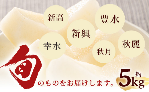 先行予約【2025年7月下旬〜発送分】熊本県産 梨 約5kg 幸水 新高 新興 豊水 秋月 秋麗 果物 フルーツ 070-0592