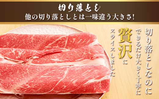 くまもとあか牛 詰合せBセット 《 切り落とし500g・すき焼きしゃぶしゃぶ用500g 》 計1kg 熊本県 ブランド牛 肉 ヘルシー 赤身 牛肉