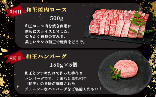 【定期便6回】くまもと黒毛和牛【 和王 堪能 定期便 】6回配送 ブランド牛 プレミアム 黒毛和牛 定期便 サーロイン ヒレ ステーキ 最上級 和牛 牛肉 国産 A4 A5 熊本県 冷凍