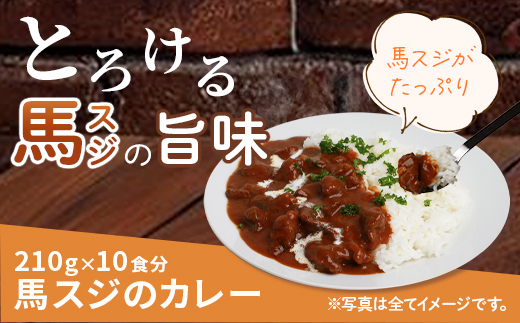 馬スジのカレー 10食 セット 合計2.1kg 【カレー レトルト レトルトカレー 馬すじ 馬スジ 馬 すじ スジ 時短 人気 熊本県 多良木町】 031-0423