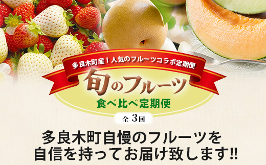 【フルーツ 定期便 3回】2025年発送 多良木町産 いちご・メロン・梨 各2種 食べ比べ 3回配送 数量限定 東光寺梨 西山果樹園 木村メロン園 坂下農園 イチゴフルーツ 果物 名産 熊本 多良木町 旬