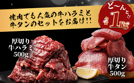 厚切り 牛 ハラミ ステーキ＆ 厚切り 牛タン 【合計 1㎏ 】 焼肉 バーベキュー キャンプ アウトドア ハラミ 焼き肉 カット済み 塩味 牛肉 肉 冷凍 パック 067-0672