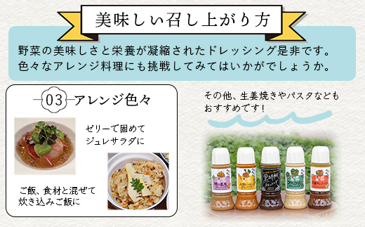 野菜で野菜を食べる ドレッシング 2本 Eセット ＜ 人参 / 黒胡椒 ＞計590ml サラダ や 肉料理 にも 詰め合わせ 熊本県 多良木町 調味料 024-0670