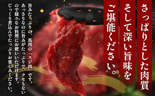 【 定期便 3回 】 熊本県 馬スジ 1kg（ 500g×2 ） × 3回 【 合計 3kg 】 【 馬肉 すじ肉 大容量 本場 熊本県 馬 赤身 煮込み カレー シチュー 冷凍 真空 熊本 肥育 ヘルシー 赤身 肉 高栄養 肉 】 041-0158