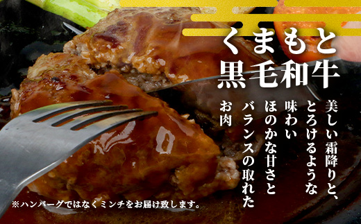 熊本県産 黒毛和牛 ミンチ500g 本場 熊本県 黒毛 和牛 国産 牛肉 ミンチ肉 挽肉 ひき肉挽き肉 ブランド 牛 肉 上質 ハンバーグ 5000円 113-0544