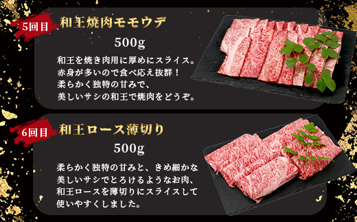 【定期便6回】くまもと黒毛和牛【 和王 堪能 定期便 】6回配送 ブランド牛 プレミアム 黒毛和牛 定期便 サーロイン ヒレ ステーキ 最上級 和牛 牛肉 国産 A4 A5 熊本県 冷凍