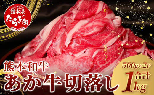 【年末発送】希少！ あか牛 切り落とし 1kg (500g×2) 熊本県産 あか牛 牛肉 大容量 肉 熊本産 国産牛 和牛 赤身 ヘルシー 多良木町 牛肉 年内発送 年内配送 年末年始 046-0637-R712
