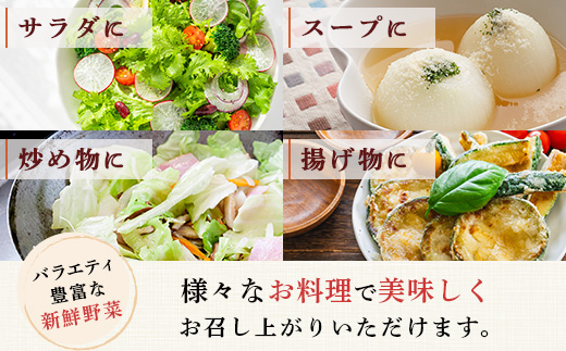 野菜ソムリエ 監修 旬のおすすめ 野菜 セット 4〜6種類 (1〜2名様向け) 野菜 獲れたて 新鮮 直送 旬 熊本県 多良木町 024-0801
