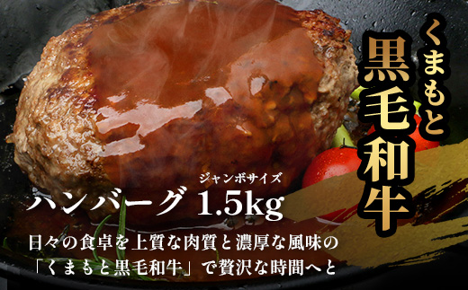 【年内お届け】ビッグサイズ！くまもと 黒毛和牛 《 DREAMジャンボバーグ 500g×3パック 計1.5g 》 ※12月18日～28日発送※ 牛肉 100％ 国産 生 ボリューム ハンバーグ お祝い パーティ 熊本 ブランド牛 黒毛 和牛 上質  年内発送 年内配送 クリスマス