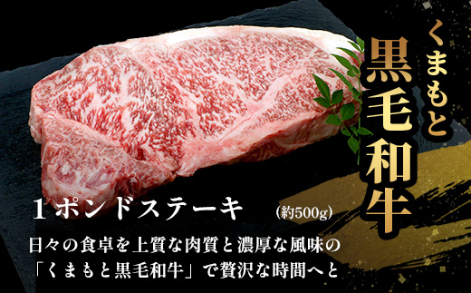 【年内お届け】くまもと黒毛和牛 1ポンド ステーキ 約500g※12月18日～28日発送※  黒毛 和牛 1 pound ステーキ 500g ブランド牛 上質 常備 冷凍 熊本県  年内発送 年内配送 クリスマス