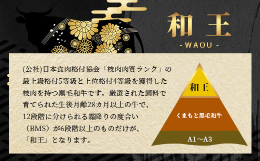 【年内お届け】【極和王】 くまもと黒毛和牛 和王 サーロインステーキ 330g×2 計660g ※12月18日～28日発送※《 ブランド牛 最高級グレード 極み 上質 旨味 サーロイン ステーキ 冷凍 熊本県 》113-0601