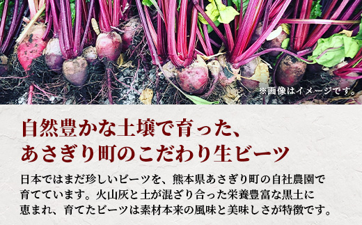 自社農園栽培 生 ビーツ 5kg 熊本県 産 国産 スーパーフード 高栄養 びーつ 生 あさぎり農園 野菜 根菜 美容 健康 115-0613