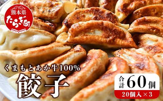 【餃子】 くまもとあか牛 100％ 餃子 計60個（20個×3パック） 冷凍 熊本県産 あか牛 ぎょうざ 惣菜 おかず 和牛 牛肉 お手軽 簡単 073-0403