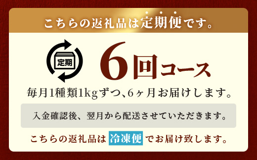【定期便6回】 1kg×6回！ くまもと ビーフ 満喫 お楽しみ 定期便 【合計6.2kg】 熊本 あか牛 / 牛タン / 黒毛和牛 モモステーキ /あか牛 スジ / ハラミ / 黒毛和牛 ハンバーグ  和牛 ブランド牛 バラエティ 定期便